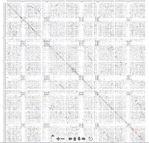 Arabidopsis Dot Plot