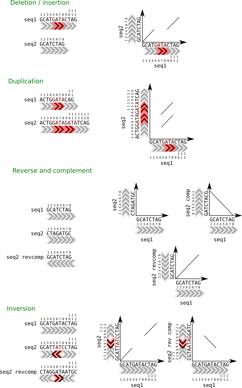 Dot Plot with altered structured