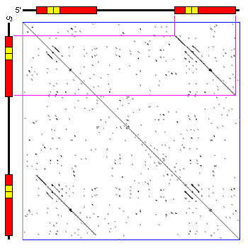 Dot Plot duplication
