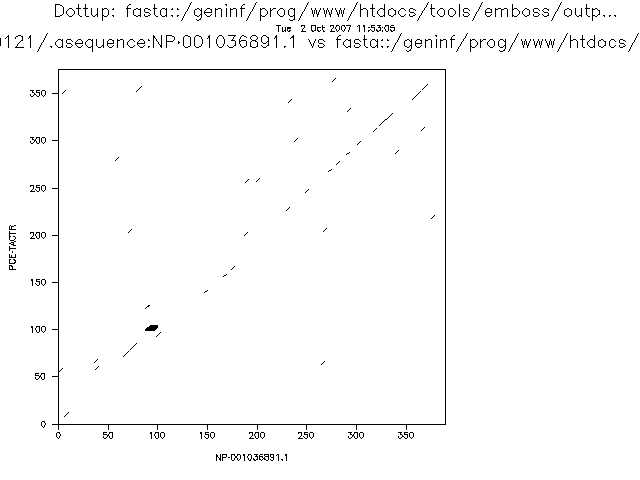 protein dotup word 3