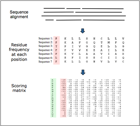 Scoring matrix