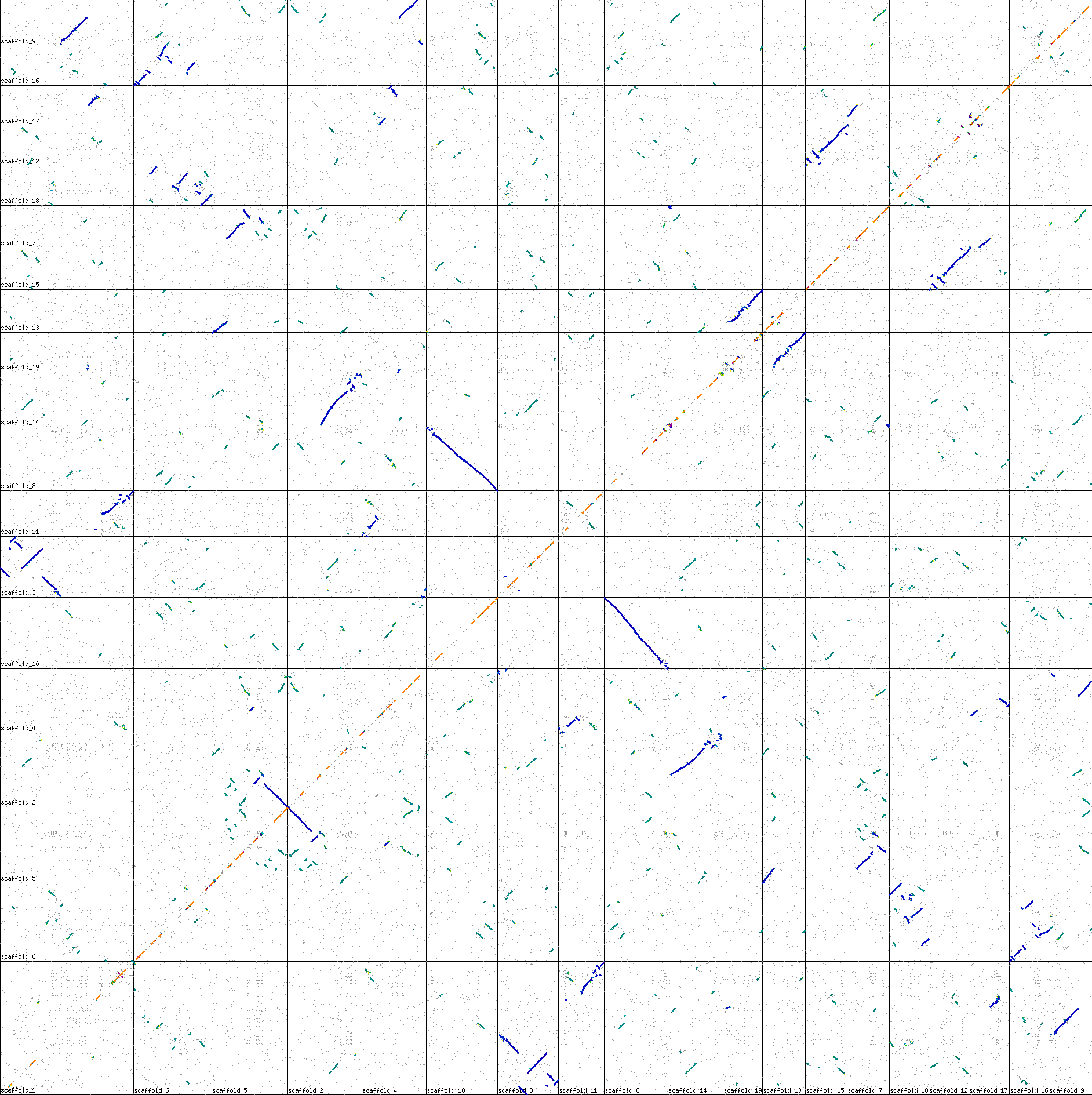 Ploplar genome vs itself
