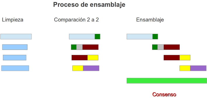 _images/proceso_ensamblaje.jpg