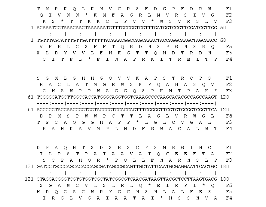 _images/6_pautas.png
