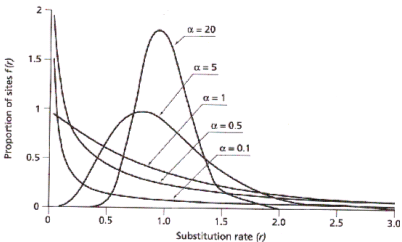 _images/Gamma_distribution.png