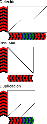 _images/del_dotmatrix.png