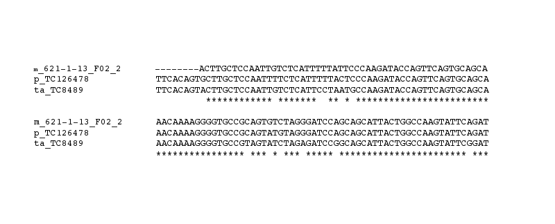 _images/fig4_2.bmp