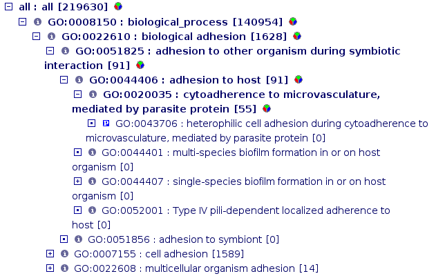 _images/go_structure.png