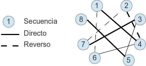 _images/grapho.jpg