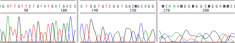 _images/okres.gif