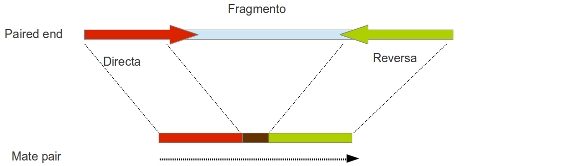 _images/pair_ends.jpg
